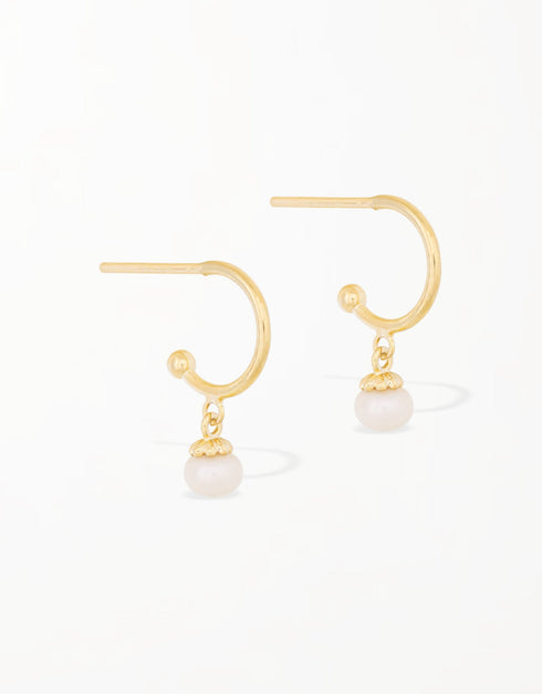 优雅的金色珍珠吊式耳环